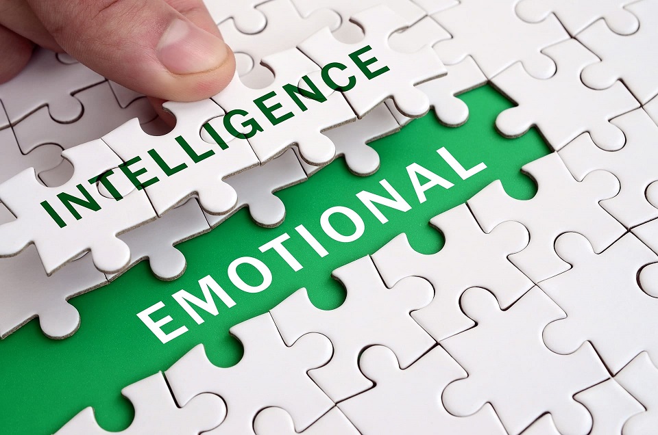 emotional intelligence